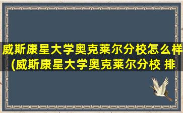 威斯康星大学奥克莱尔分校怎么样(威斯康星大学奥克莱尔分校 排名)